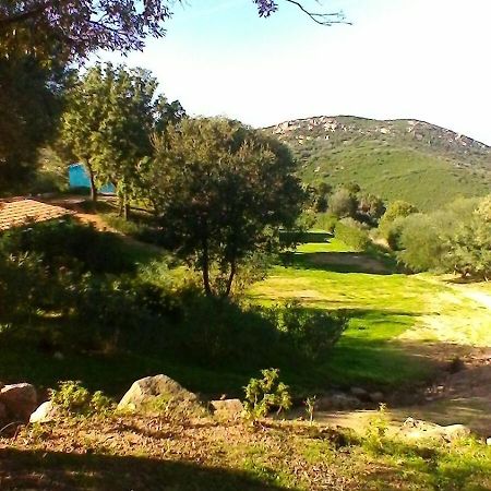 Farm Stay Gli Oleandri Loiri Porto San Paolo Ngoại thất bức ảnh