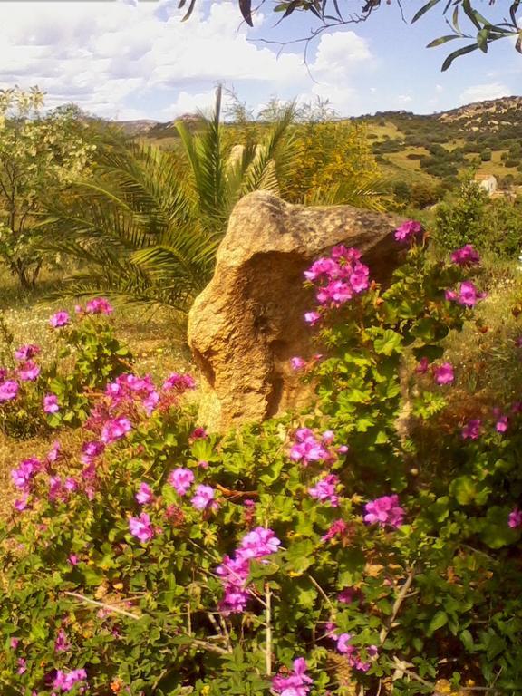 Farm Stay Gli Oleandri Loiri Porto San Paolo Ngoại thất bức ảnh