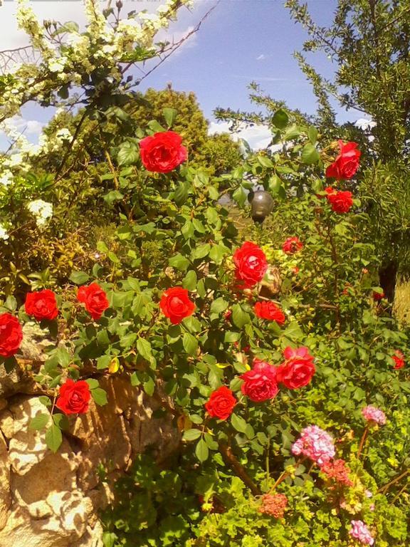 Farm Stay Gli Oleandri Loiri Porto San Paolo Ngoại thất bức ảnh
