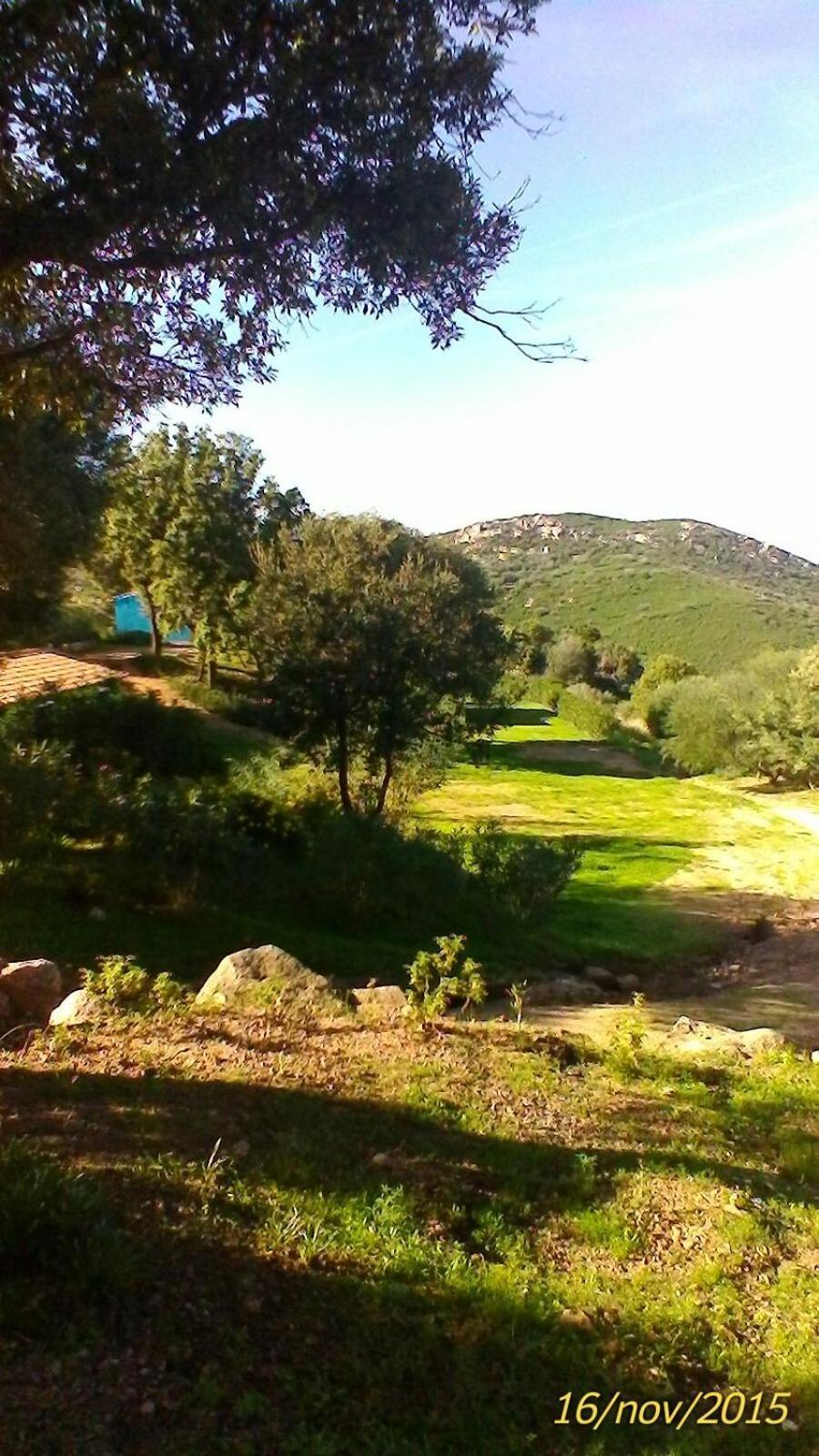 Farm Stay Gli Oleandri Loiri Porto San Paolo Ngoại thất bức ảnh