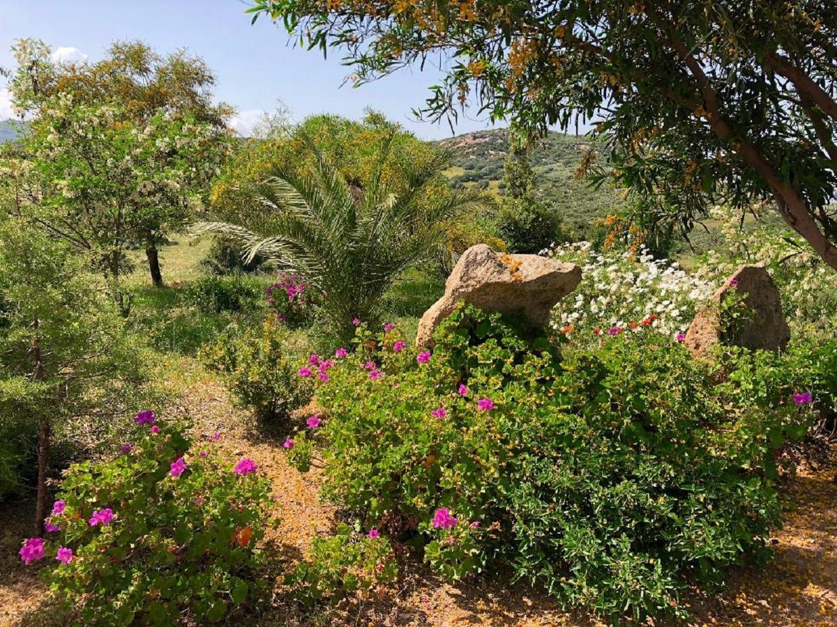 Farm Stay Gli Oleandri Loiri Porto San Paolo Ngoại thất bức ảnh