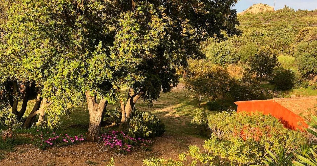 Farm Stay Gli Oleandri Loiri Porto San Paolo Ngoại thất bức ảnh