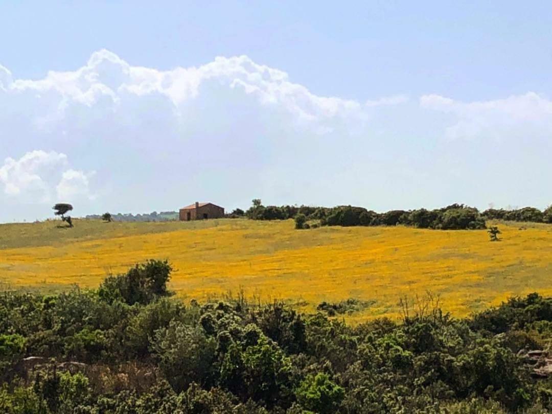 Farm Stay Gli Oleandri Loiri Porto San Paolo Ngoại thất bức ảnh